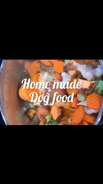 Home Made Dog Food!!’