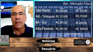 Boi gordo bate recorde em dólar mas é pressionado em reais