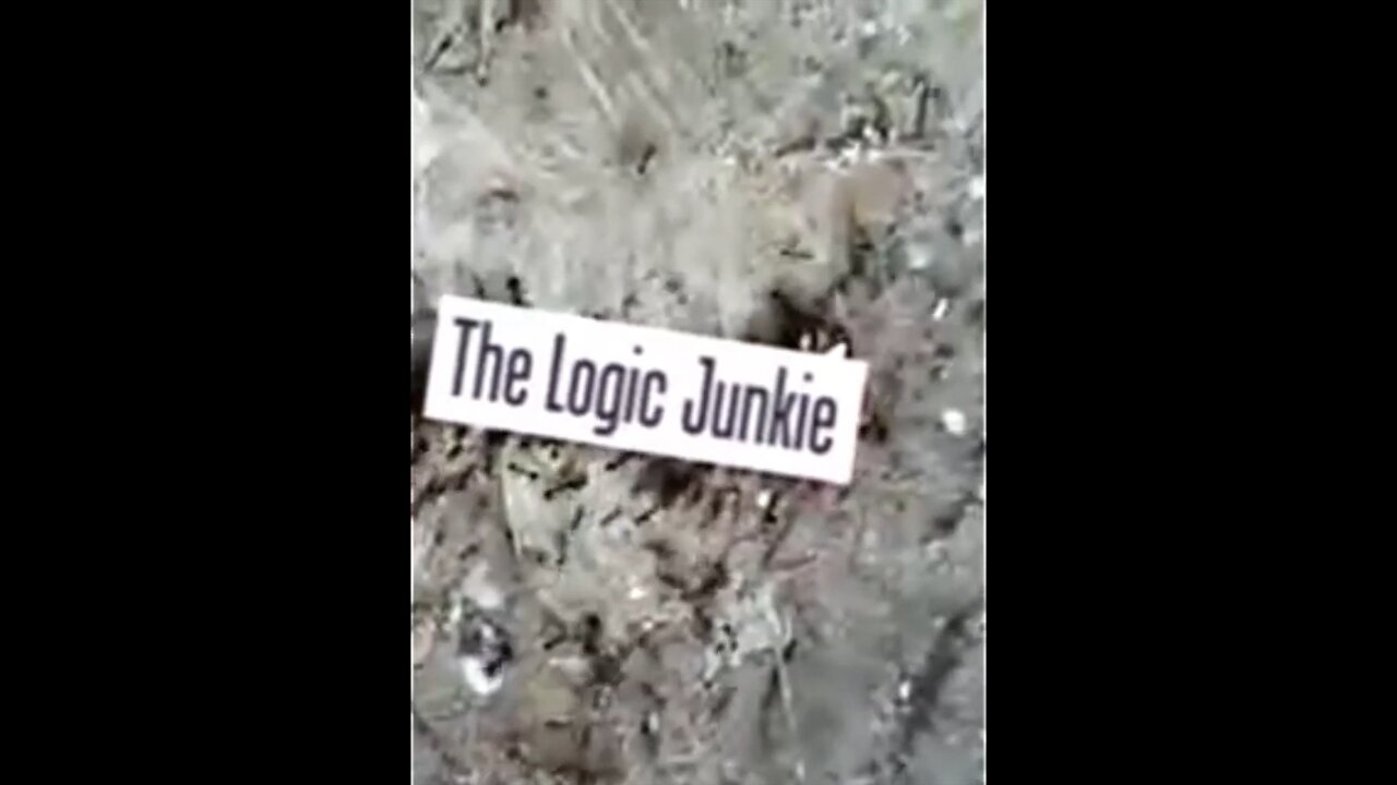 THE LOGIC JUNKIE - Part 1/12