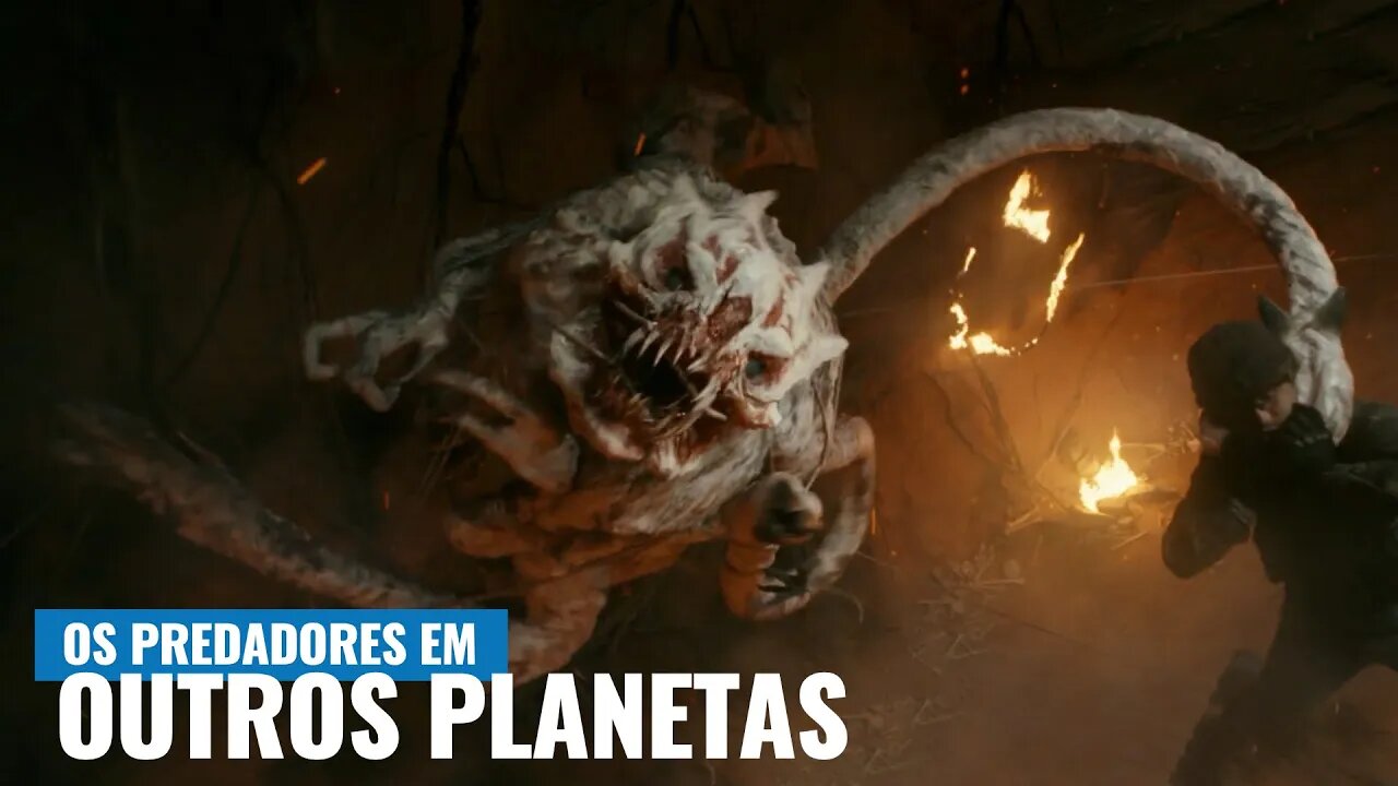 COMO A VIDA NA TERRA DÁ PISTAS SOBRE COMO É A VIDA NO UNIVERSO