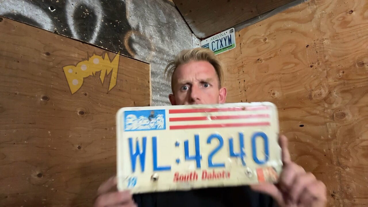 Mystery license plate package 220