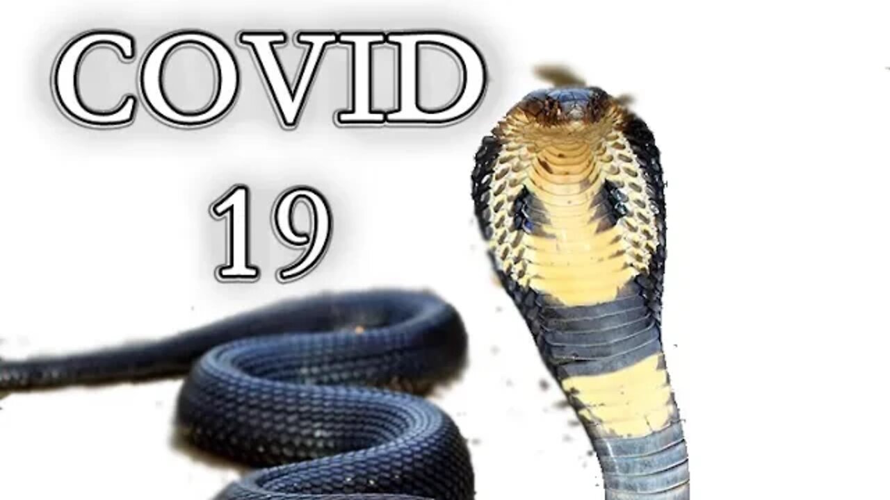 100 videos UPLOADED 🎉🎹🎤 #shorts #artist #freeinstrumentals #jesus #covid19 aka King cobra venom