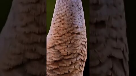 What are you looking at?