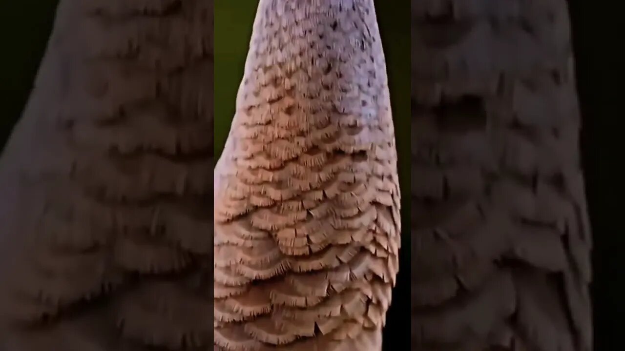 What are you looking at?