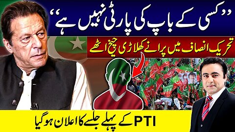 "No one owns the party" | PTI's old members raise concerns | Mansoor Ali Khan