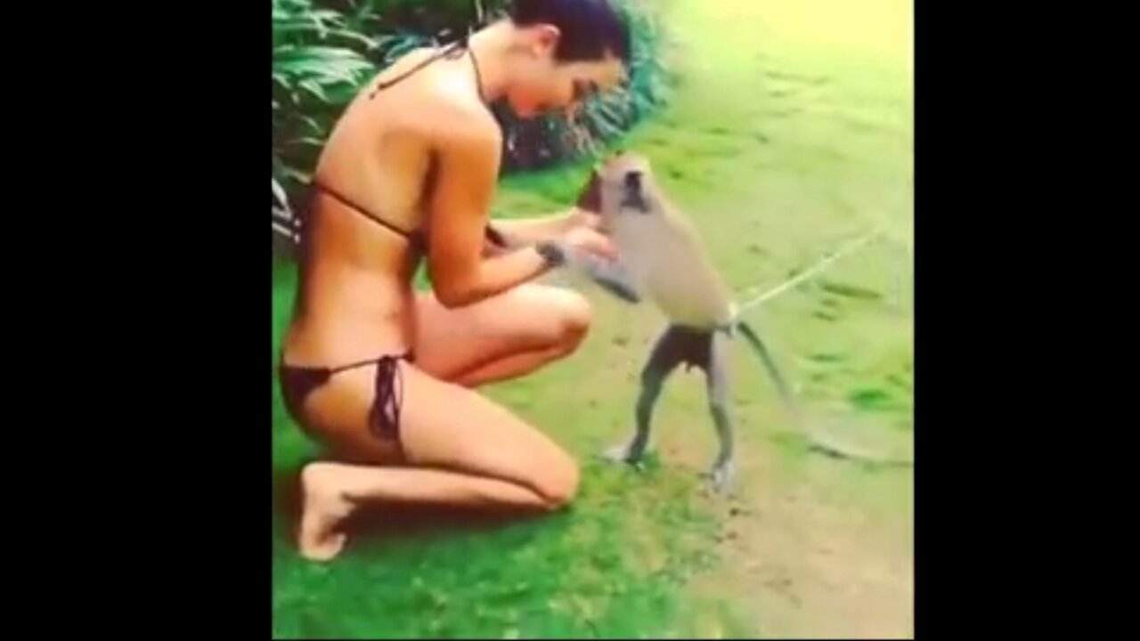 Funny Monkey and Funny Girl Fail Video Animal