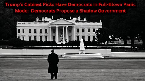 The Democrats’ “Shadow Government” Scheme: Democrats’ Tone-Deaf Refusal to Accept Rejection