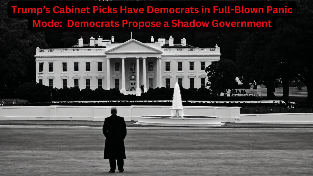 The Democrats’ “Shadow Government” Scheme: Democrats’ Tone-Deaf Refusal to Accept Rejection