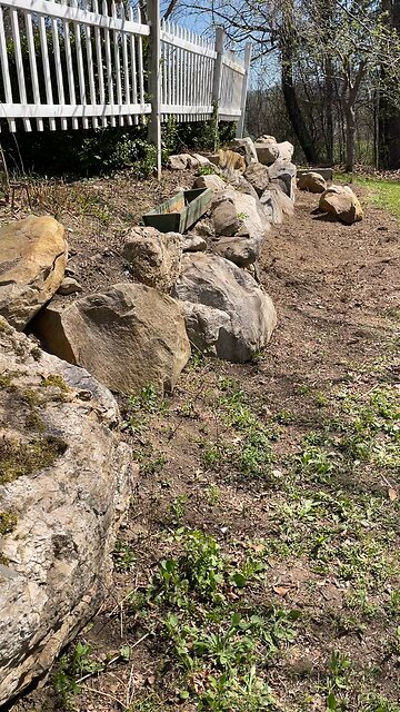 Room&Board :After Video💪🌲