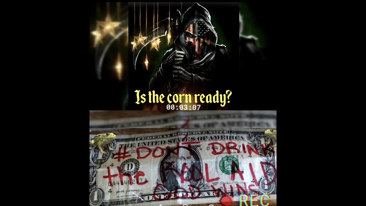 11.3 / or 11.3 🐸 #DDK 11.3 LAW OF WAR - The corn 🌽 is ReadY