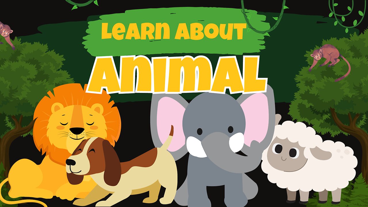 Learning about animals for preschoolers - Learn animal for toddlers - lion