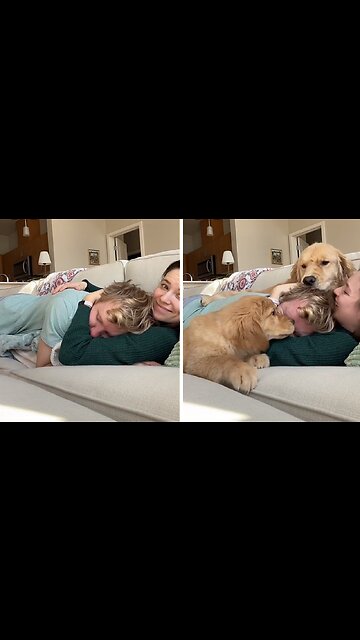 Jealous Pups Want To Cuddle Too!