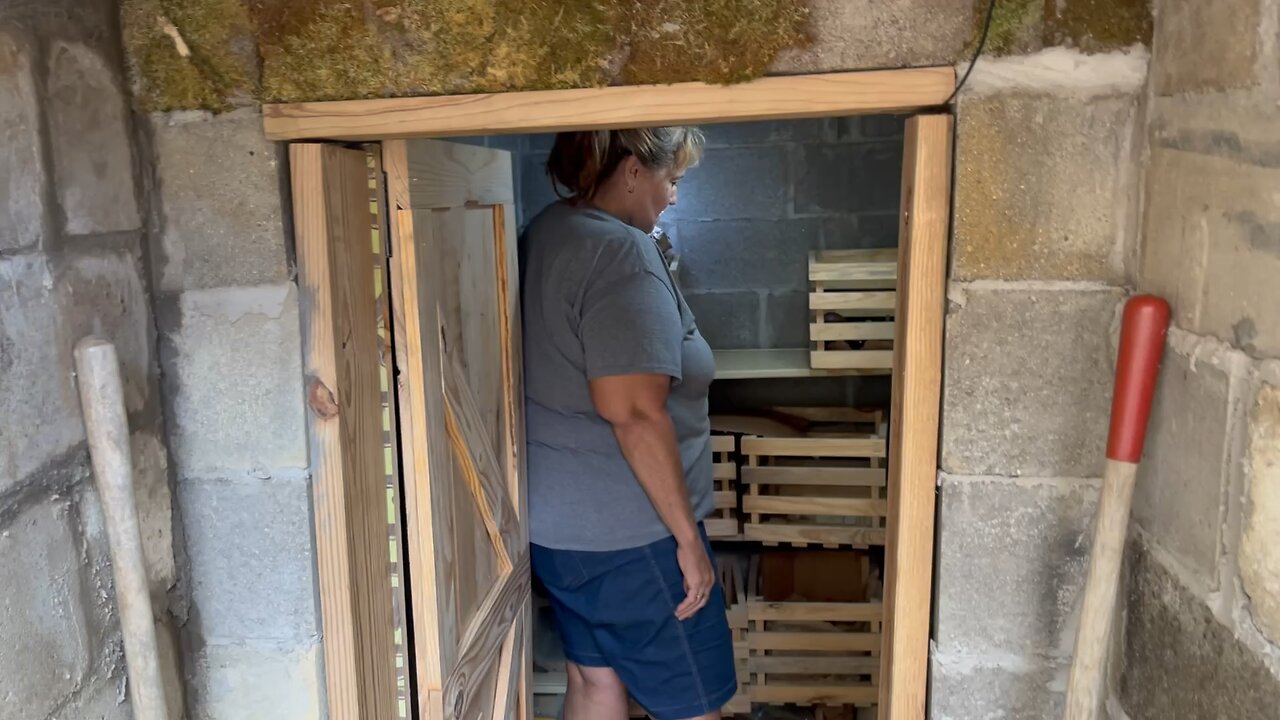 Solar Light in the Root Cellar 🛠️ #rootcellar #solarenergy #farm #homestead