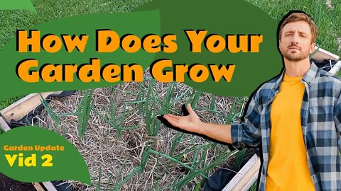 Garden Update 2 - How Does Your Garden Grow? | Small Family Adventures