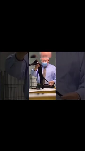 CONHEÇA O GARATOTELES (SE INSCREVE NO CANAL)