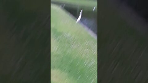 Crane in Harrisburg
