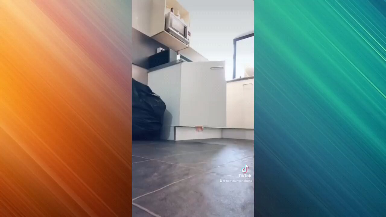 Scare Cam Pranks _29 _ Funny Videos TikTok Compilation --