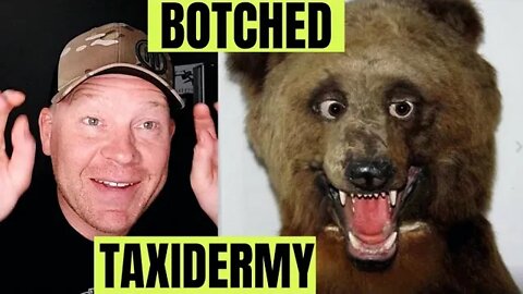 Botched Taxidermy 😳😆🤔🤦‍♂️