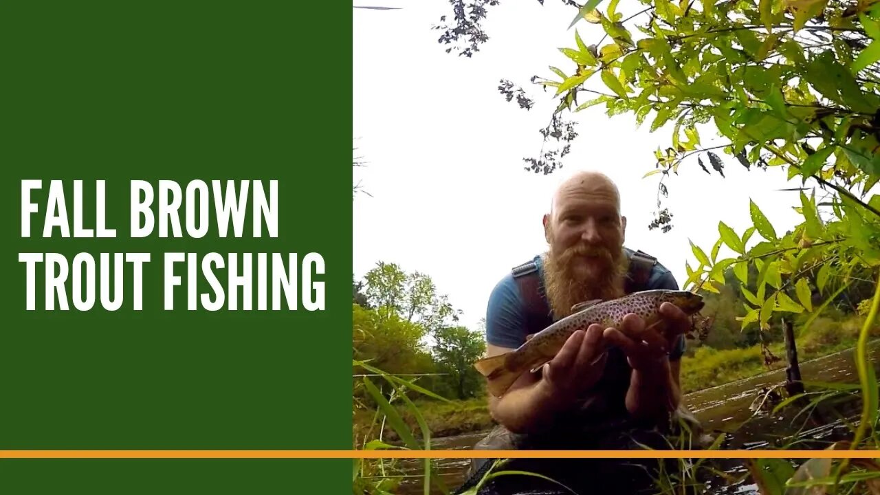 Fall Brown Trout Fishing, Brown Trout Fishing Videos, Michigan Trout Fisherman,