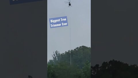 Biggest Flying Buzzsaw Tree Timmer EVER FILMED, it happened by The Mohican River