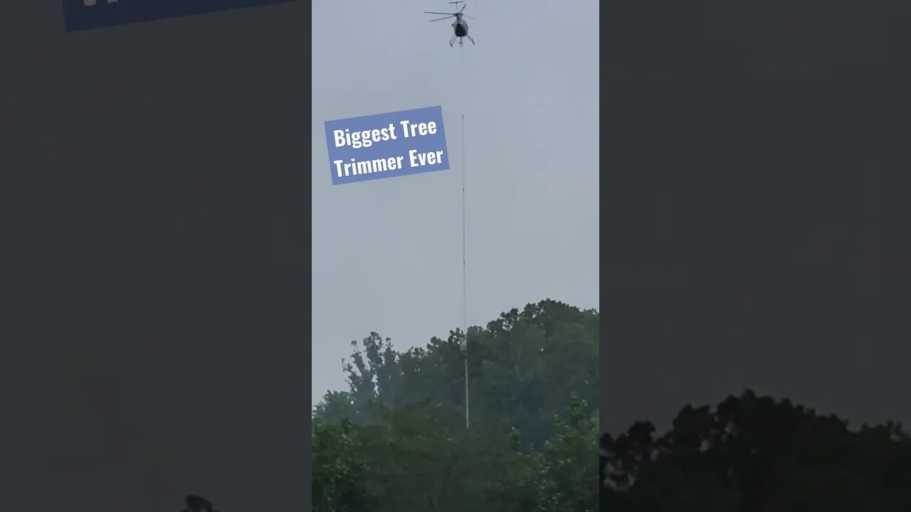Biggest Flying Buzzsaw Tree Timmer EVER FILMED, it happened by The Mohican River