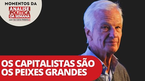 Os capitalistas são os peixes grandes | Momentos da Análise Política da Semana