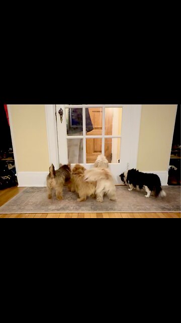 Daddy’s Home for FOUR!