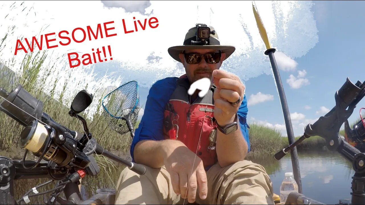 This Live Bait Can Help You Catch Redfish ~ AWESOME DAY FISHING!!