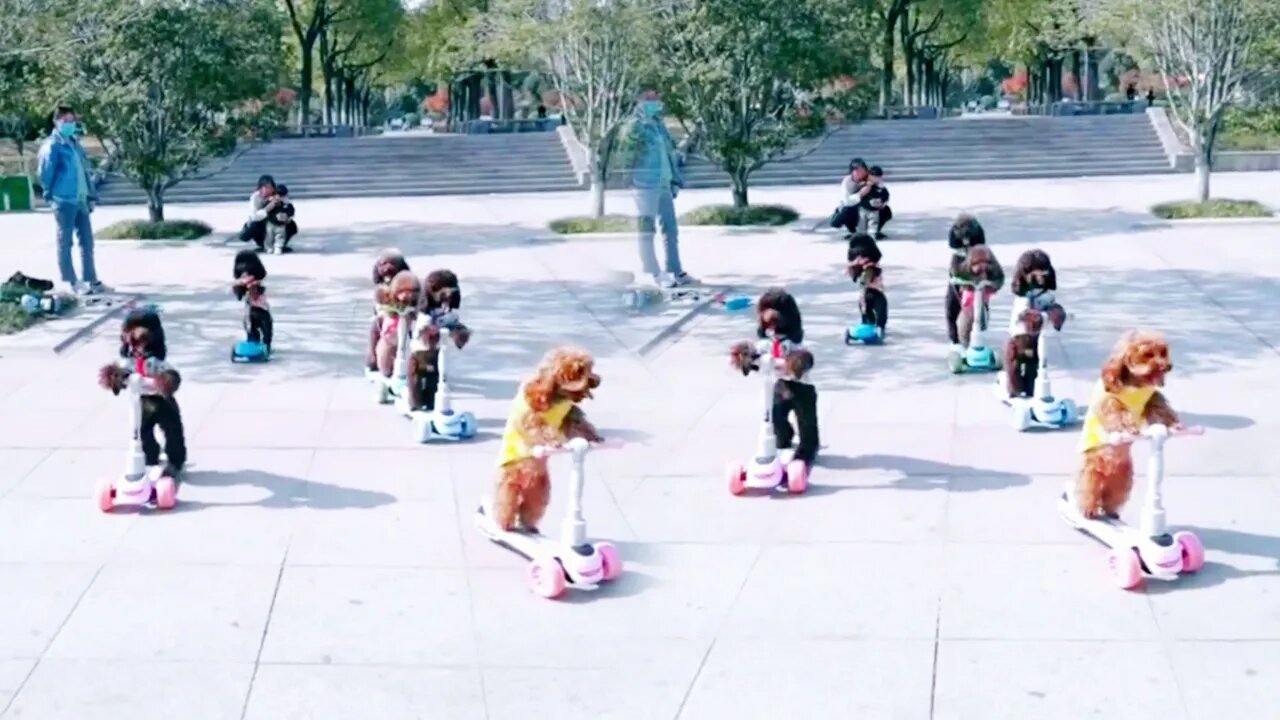 Here comes the group skateboard