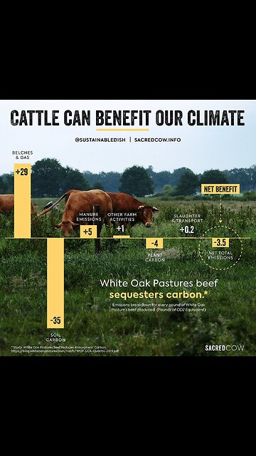 Importance of chewing.