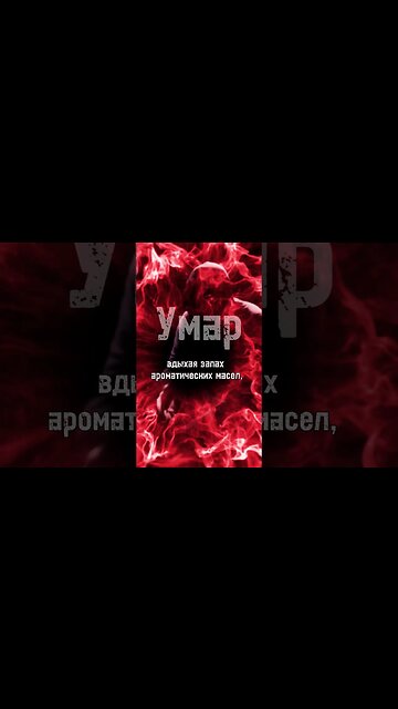 Секрет власти Умара #shorts #ислам