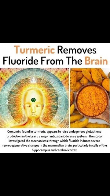 ⚠️⚠️⚠️ 𝗪𝗔𝗟𝗡𝗨𝗧𝗦 𝗞𝗜𝗟𝗟 𝗣𝗔𝗥𝗔𝗦𝗜𝗧𝗘𝗦 🤷‍♀🤷‍♀️🤷‍♀️