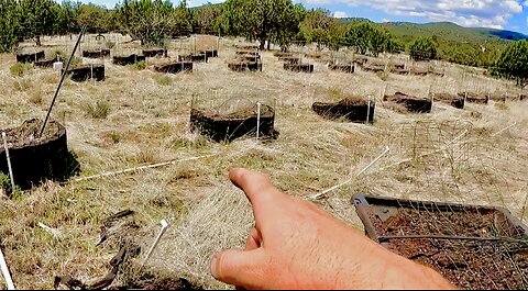 Getting My Topsoil From An Illegal Grow Operation - Homestead Garden Install Update!