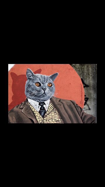 Animais fofos#funny cats compilation#cute animals#funny animals#gatos#cachorros,#takinanet#shorts