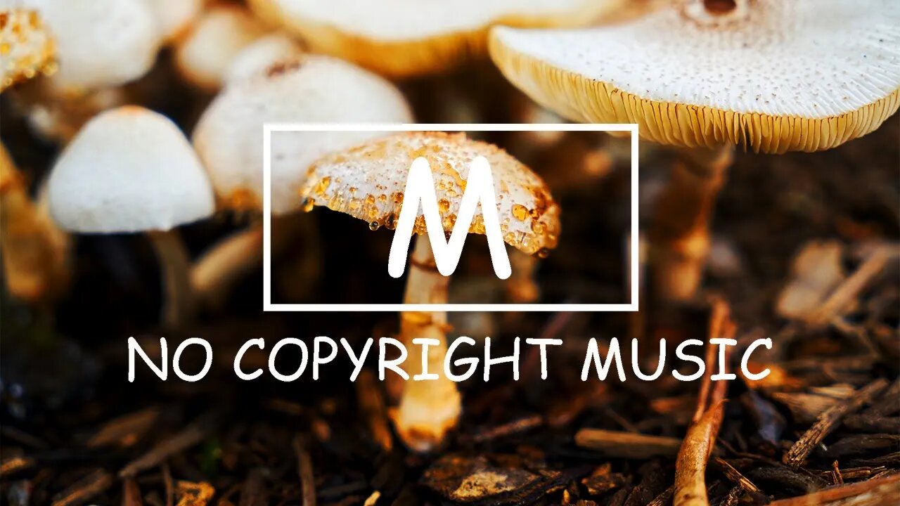 Peyruis - Balmoral(Mm No Copyright Music)