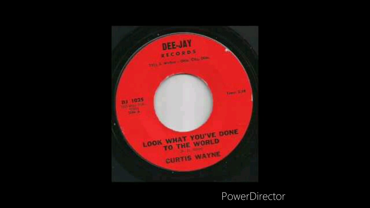 Curtis Wayne - Look What You've Done To The World