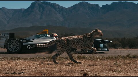 Formula E Car vs Cheetah