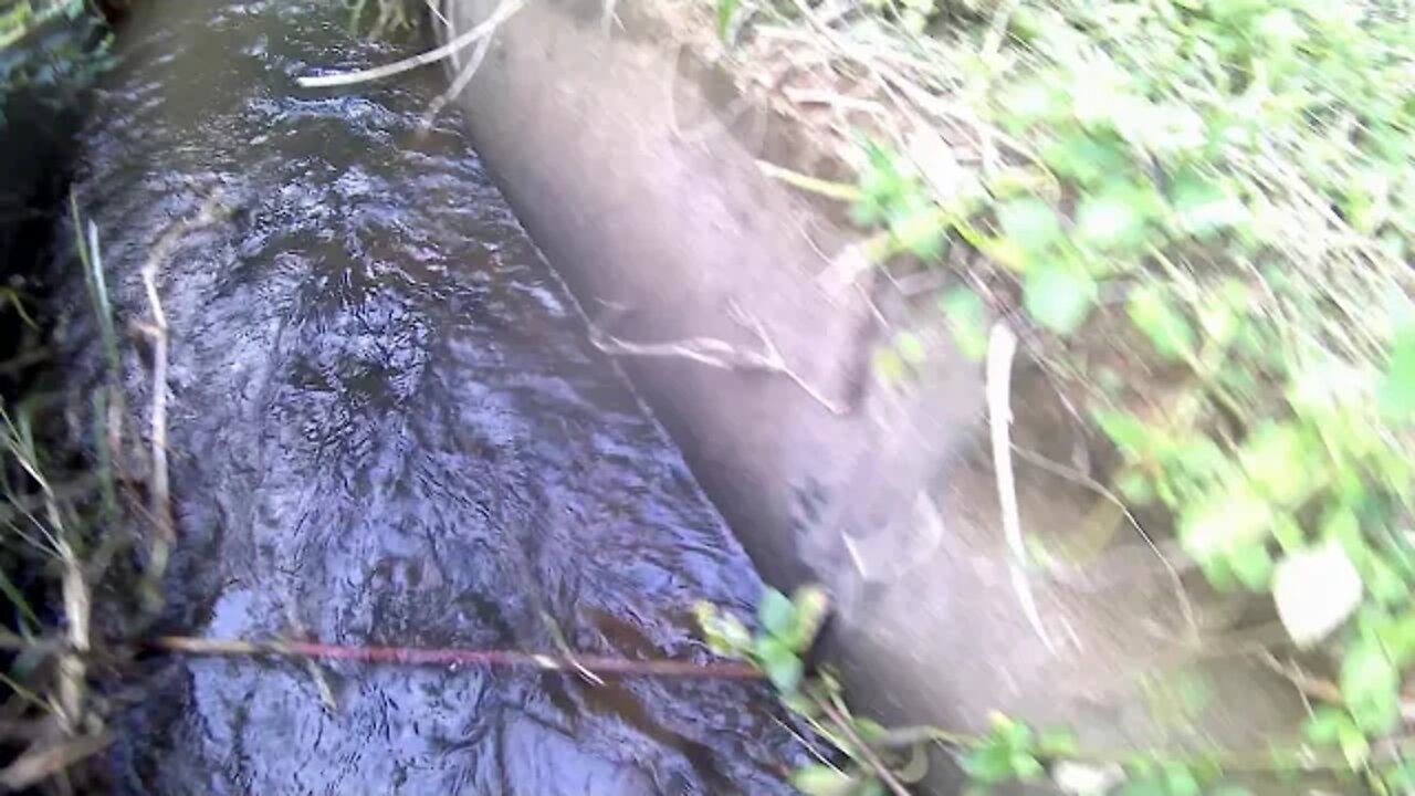 今天天气有点凉，我在山上烧火取暖