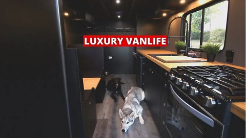 Condo On Wheels / Solo Vanlife w/ 2 Dogs