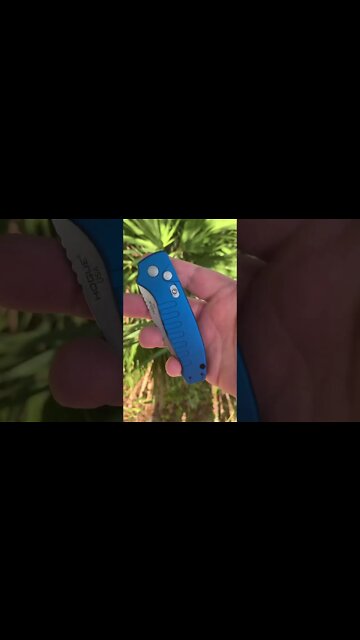 Hogue Ballista knife