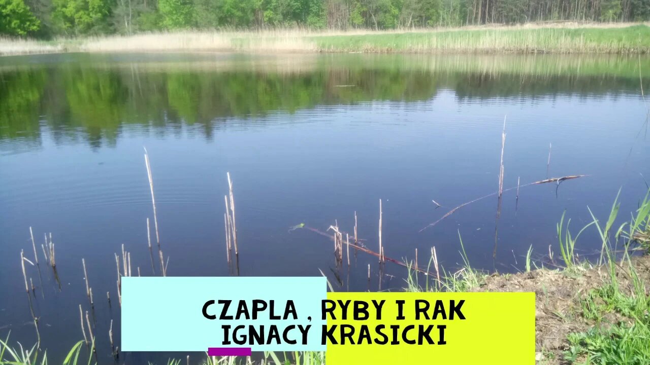 Czapla, ryby i rak -Ignacy Krasicki