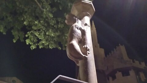 Lioness in Gerona Spain