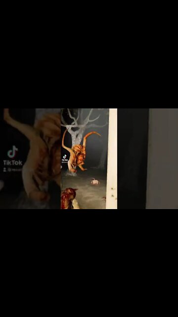 Half Life Alyx mods that got more profile views on TikTok Gaming 8