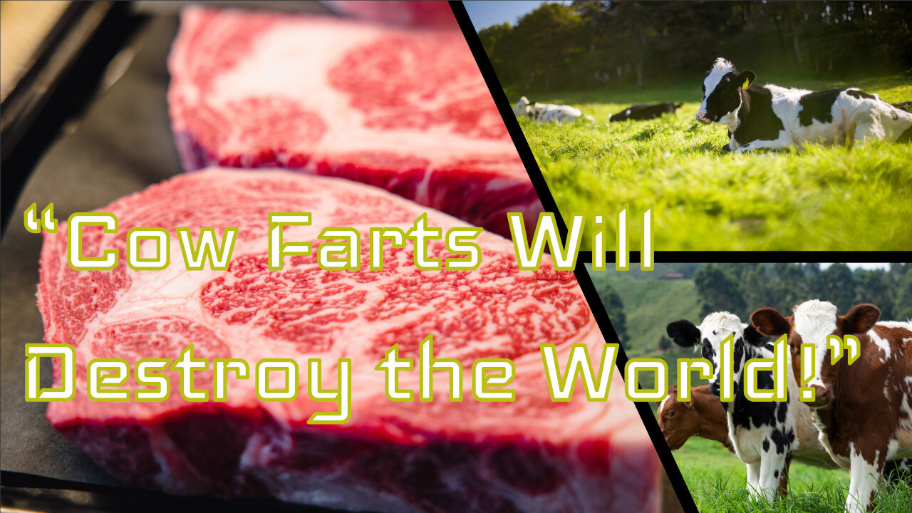 The Horror of Cattle Farming
