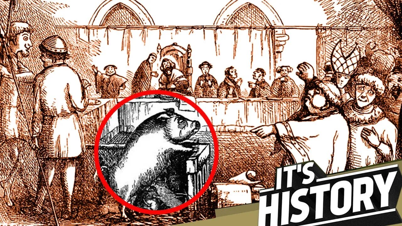 When Animals Were Punished in Court - IT'S HISTORY