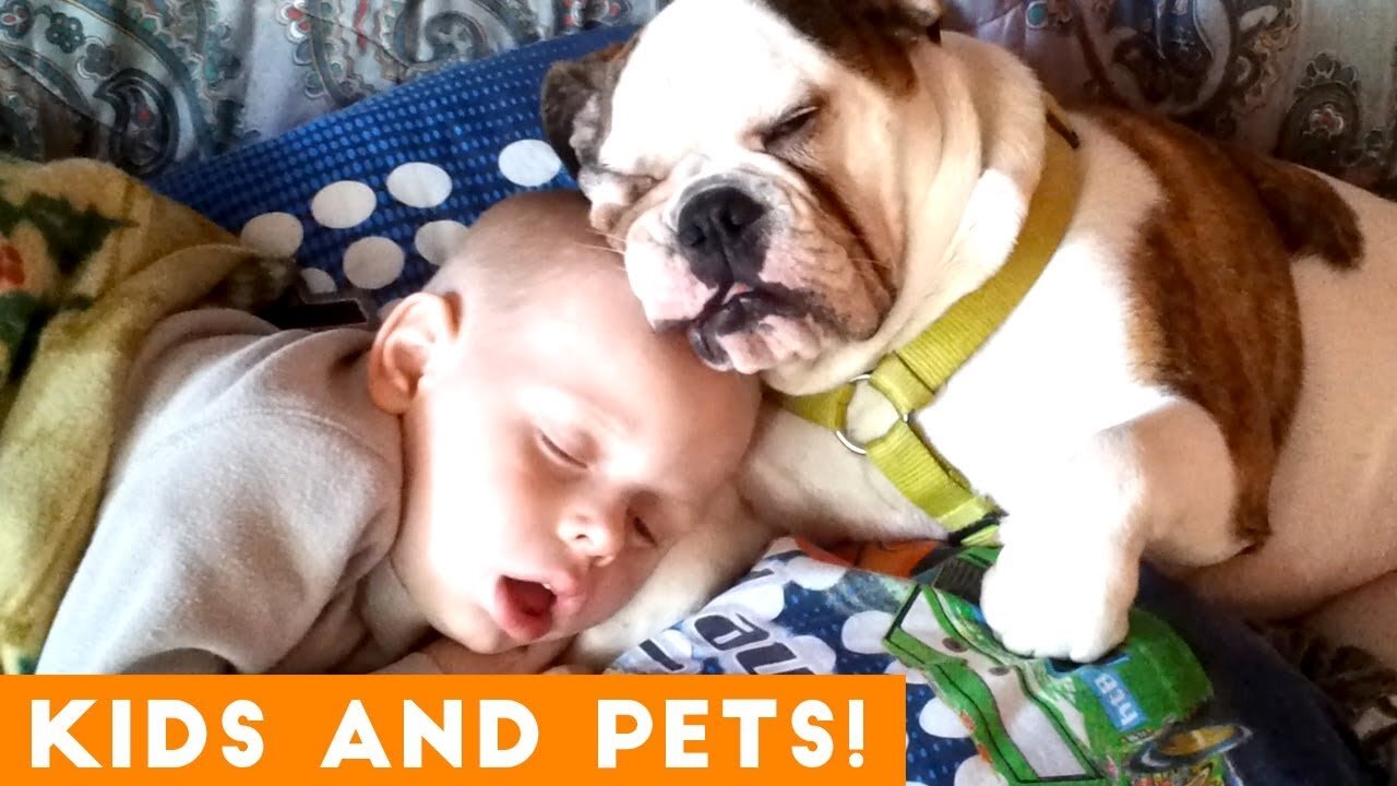 Cute Kids and Animals :)
