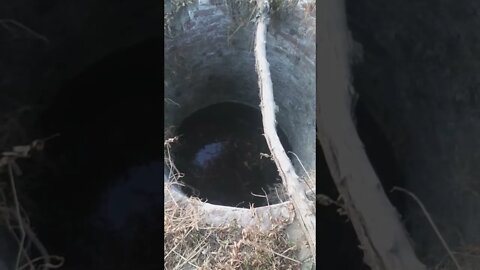water level in faridkot punjab