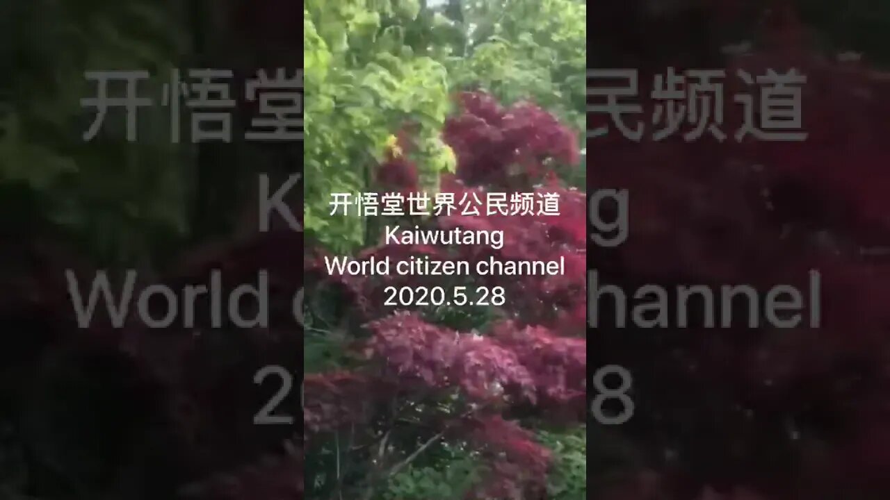 开悟堂世界公民频道 Kaiwutang World citizen channel 2020.5.28