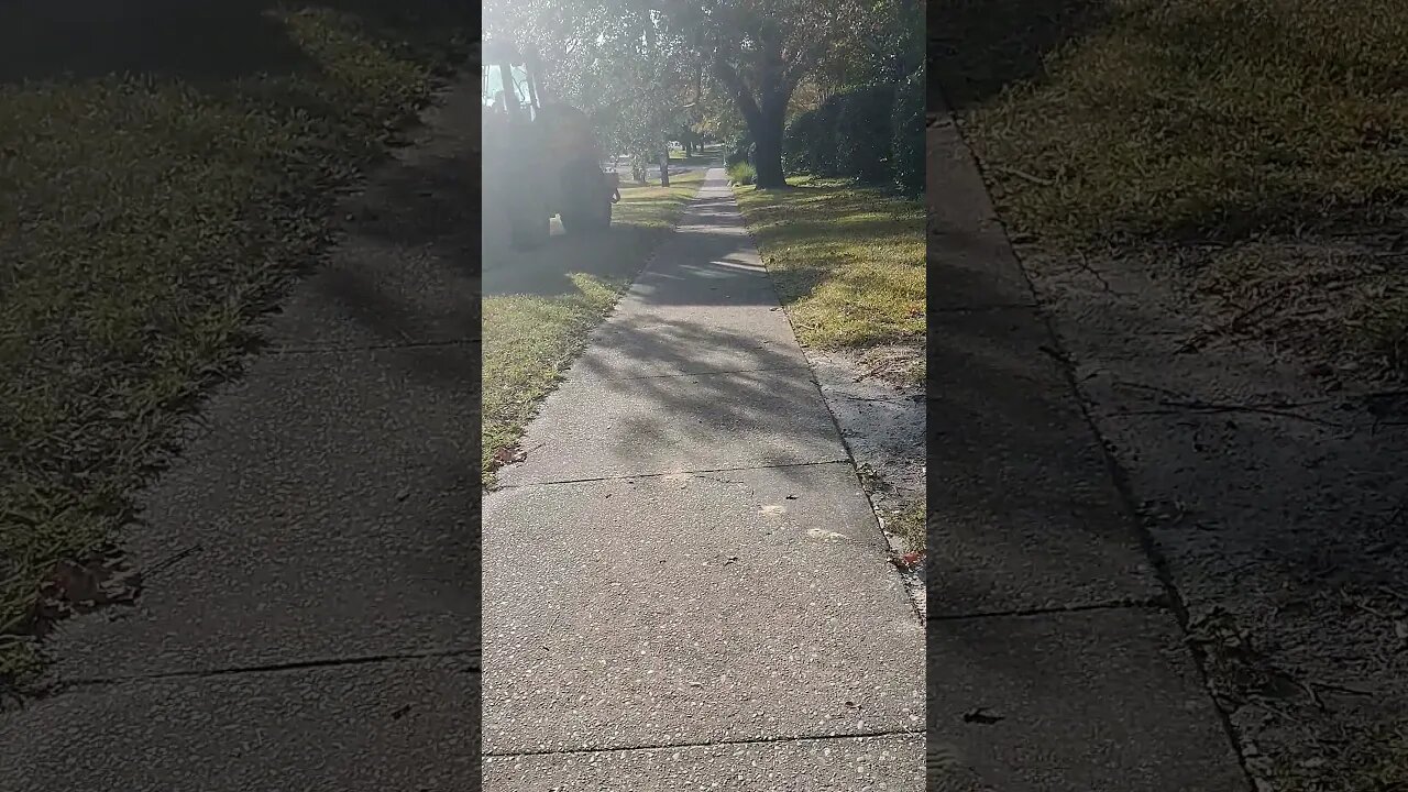 Gang Stalking Perp Walk 11/27/2021 Pt. 2