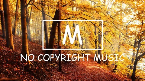 Del & Rabae - Faith（Mm No Copyright Music）
